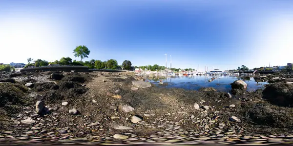 Low Tide in Camden Harbor