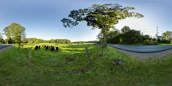 Aldermere Farm